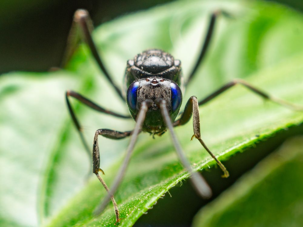 Photograph by Jose Martin Ceja Medina