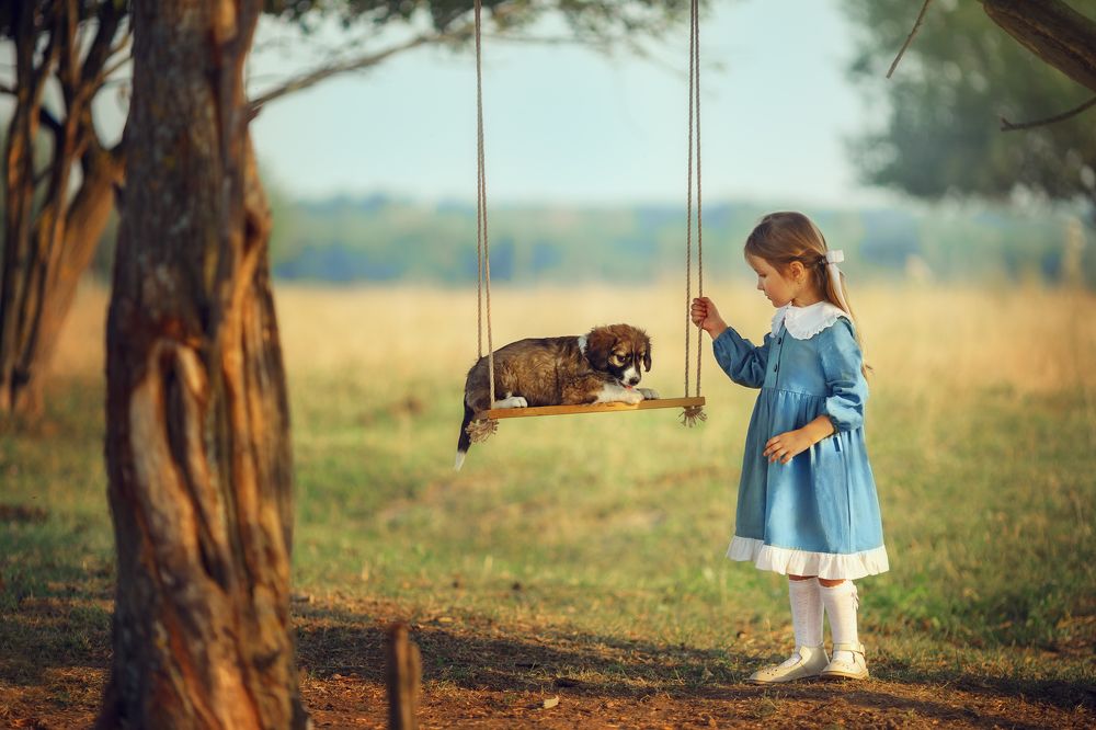 Photograph by Костюк Зоя