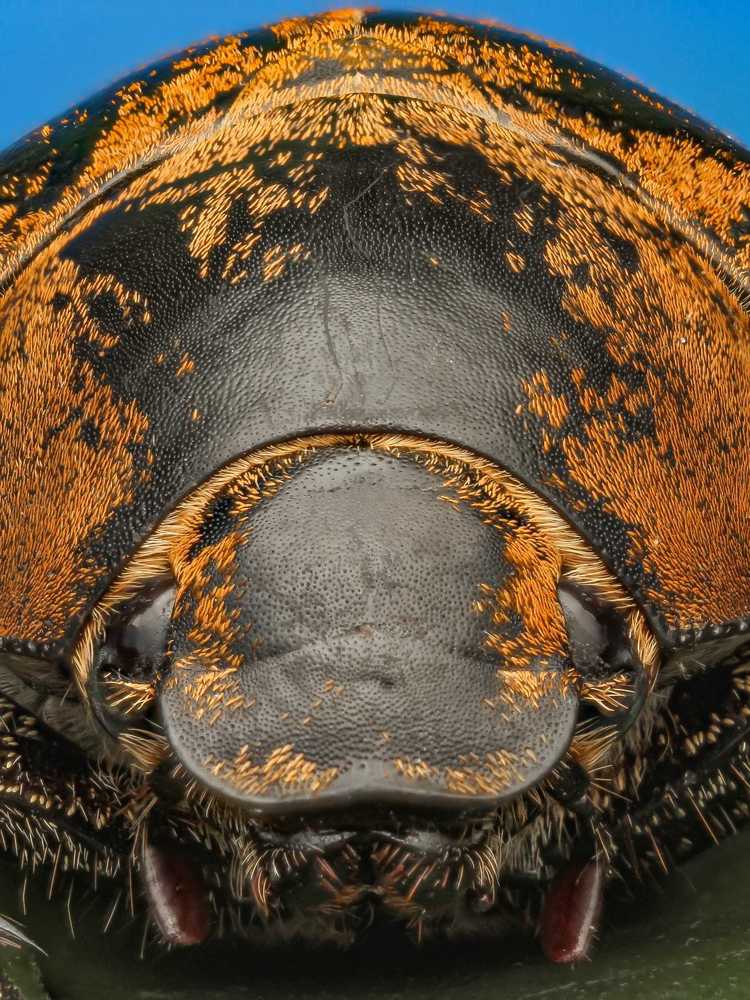 Photograph by Ridwan Fajar