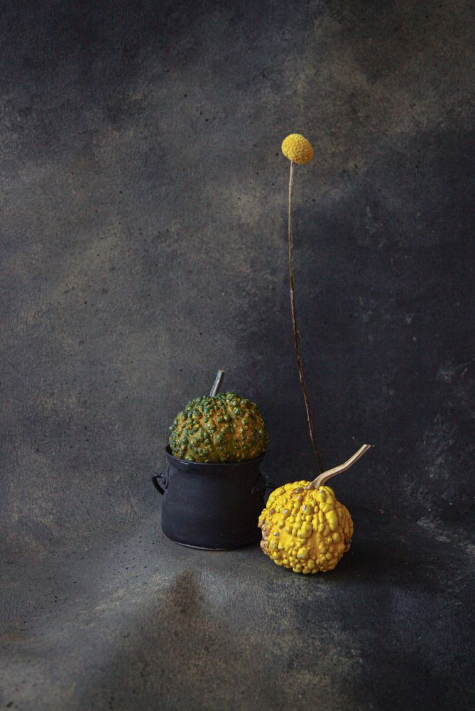 Photograph by Светлана Кавказская