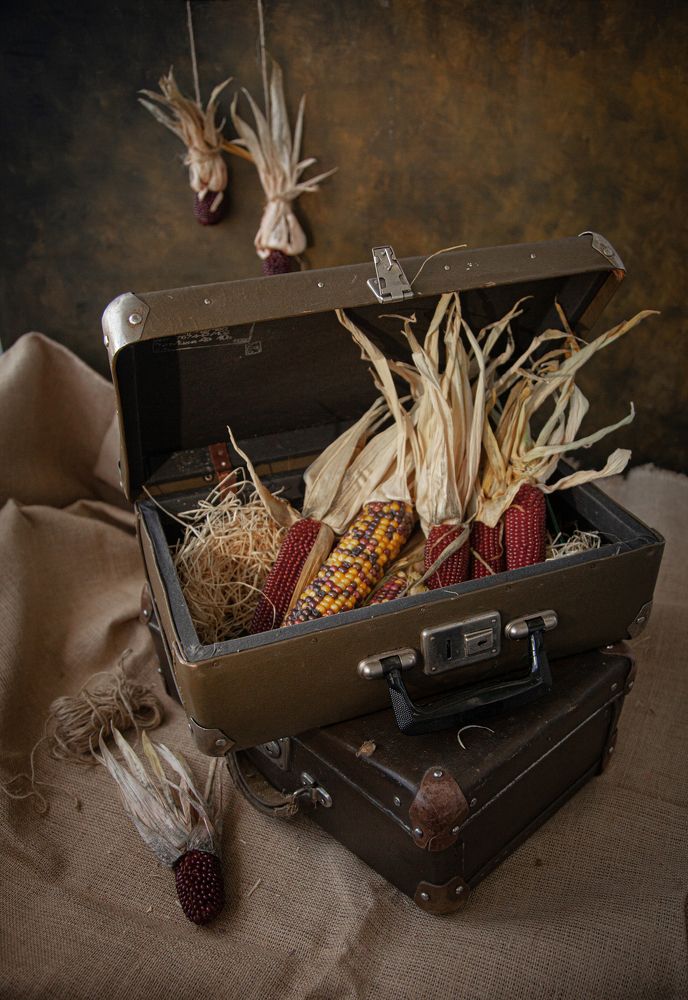 Photograph by Светлана Кавказская