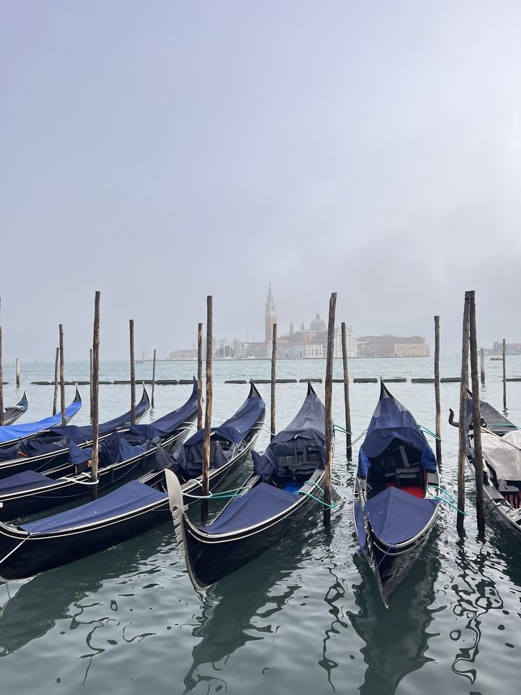 Фотография автора Anna Glotova