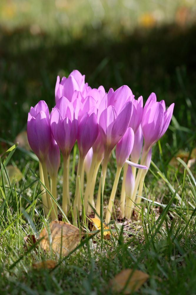 Фотография автора Алексей Попов