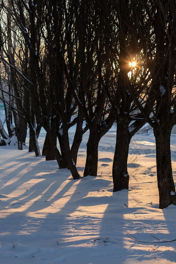 Photograph by Екатерина Алексеева