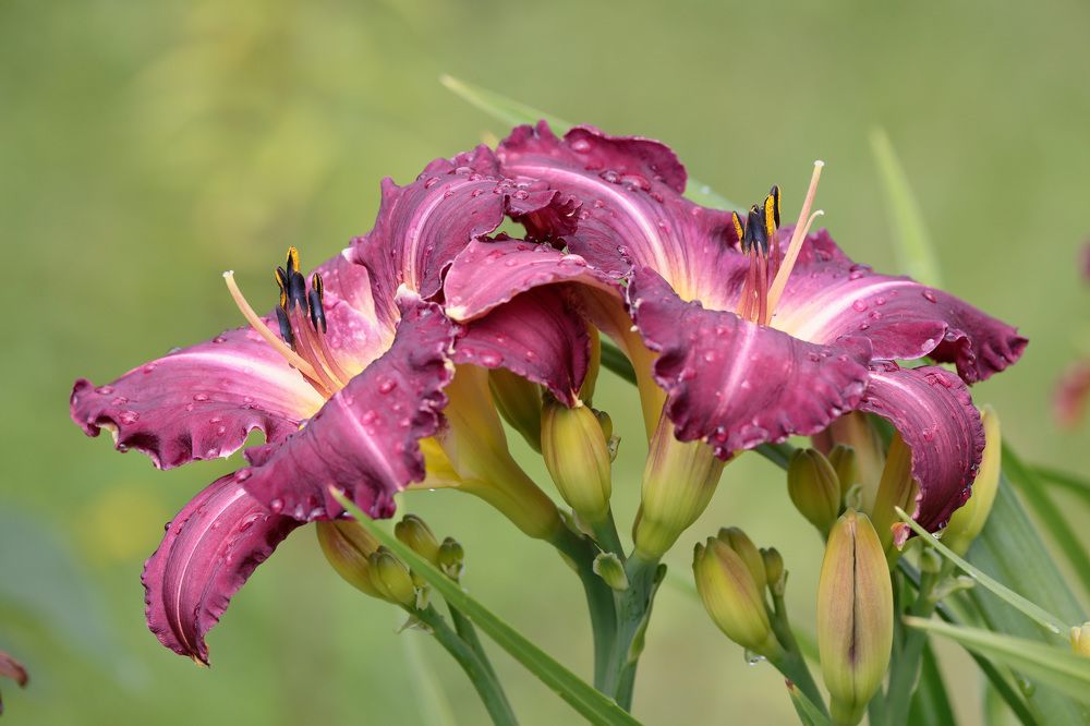 Фотография автора Алексей Попов