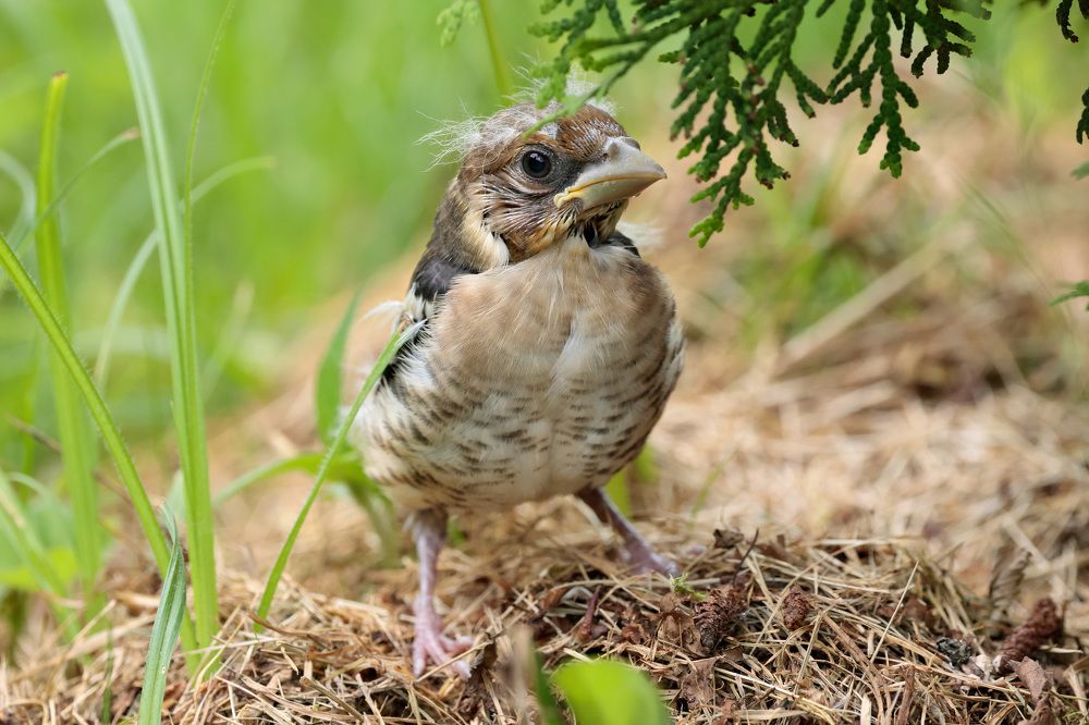 Фотография автора Алексей Попов