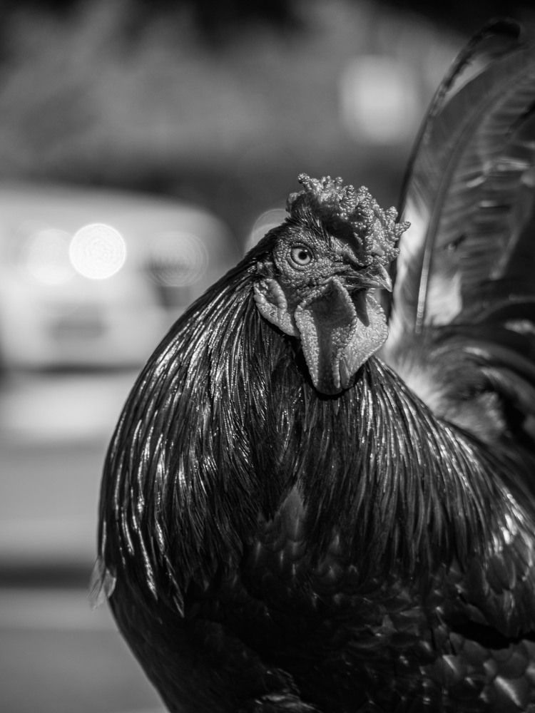 Photograph by Доляна Ашкова