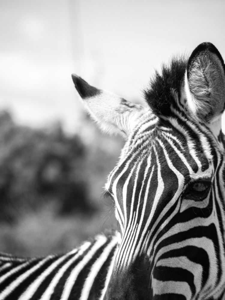 Photograph by Доляна Ашкова