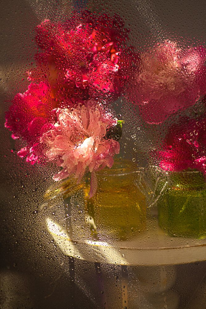 Photograph by Светлана Кавказская