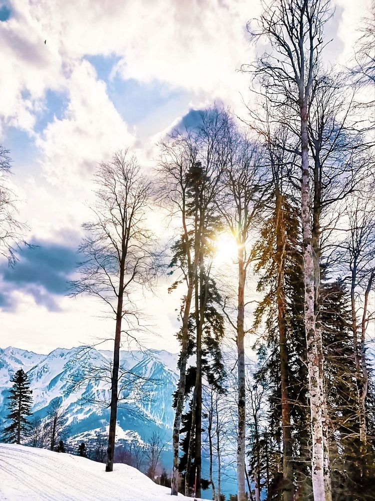 Photograph by СашаДД_