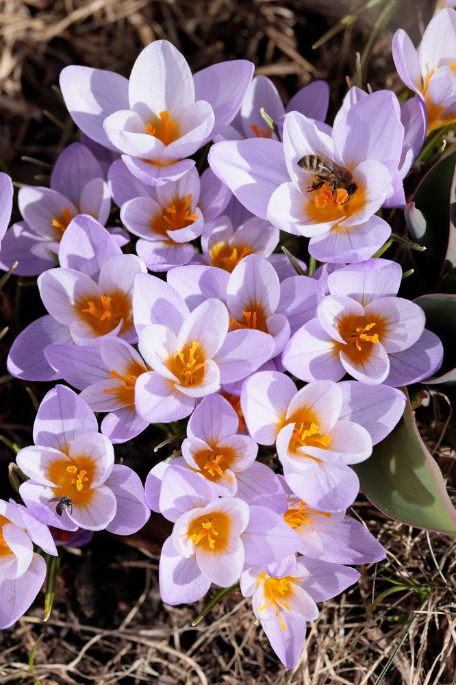 Фотография автора Алексей Попов