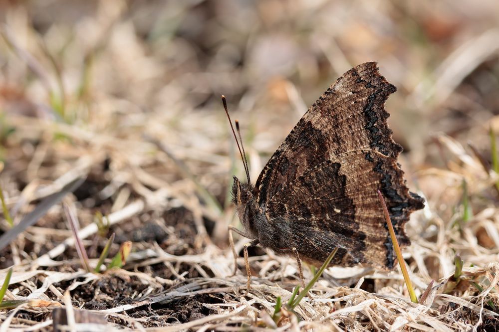 Фотография автора Алексей Попов