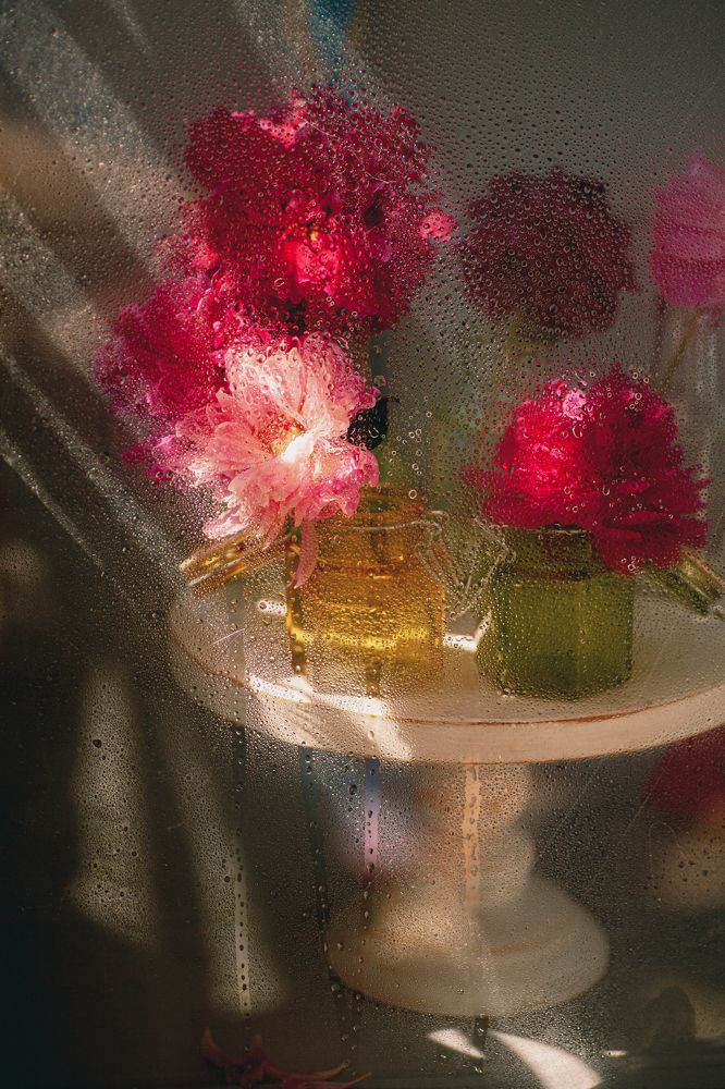 Photograph by Светлана Кавказская