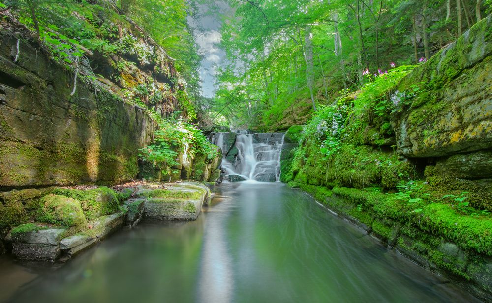 Фотография автора Mihail Manolov