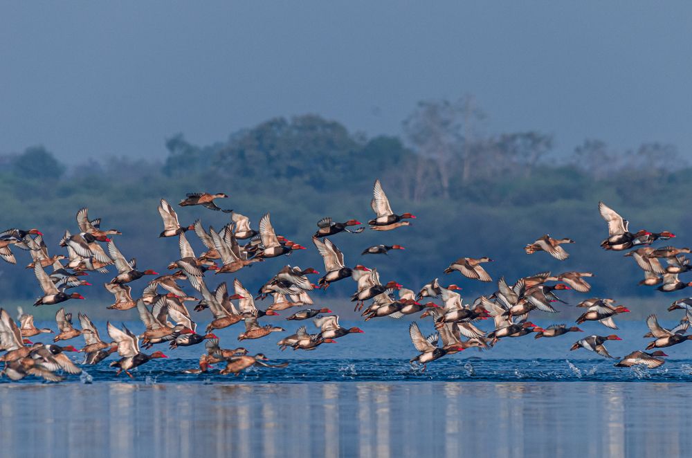 Photograph by Kshitij Patle