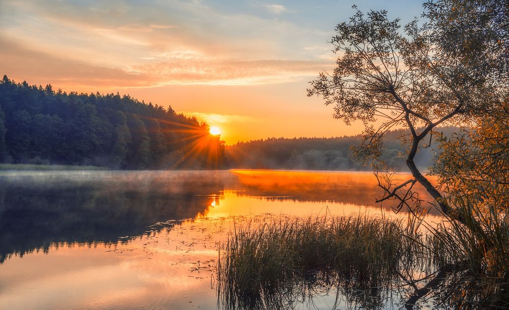 Photograph by Peter Milto