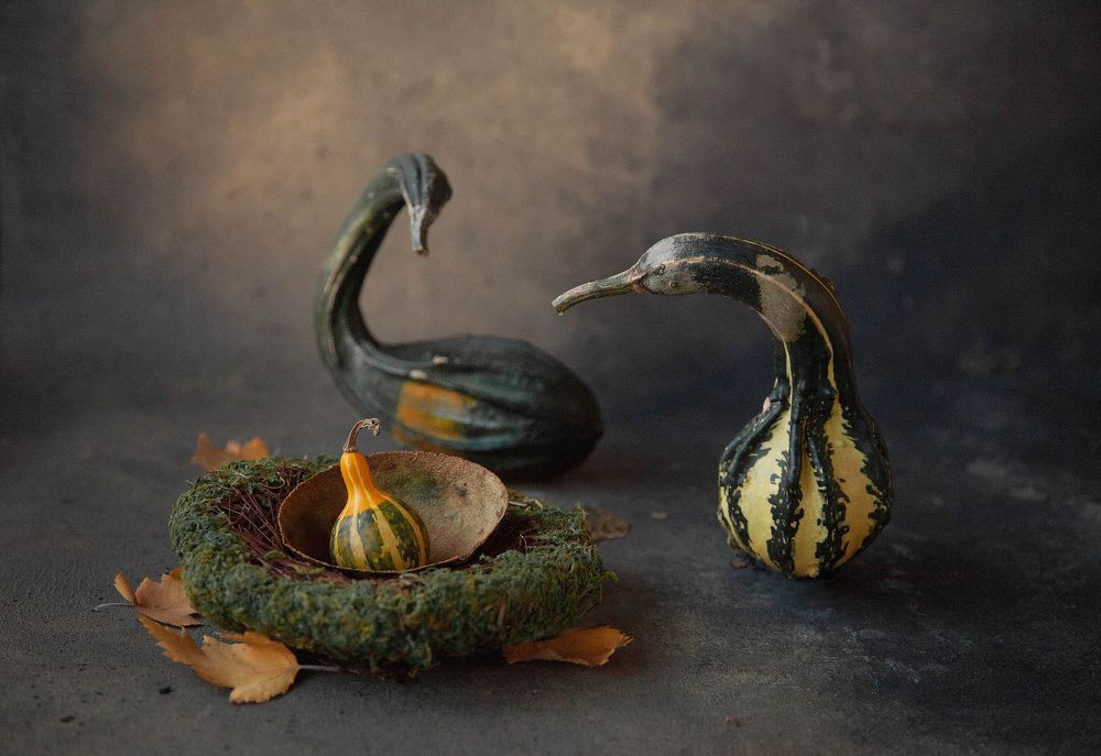 Photograph by Светлана Кавказская