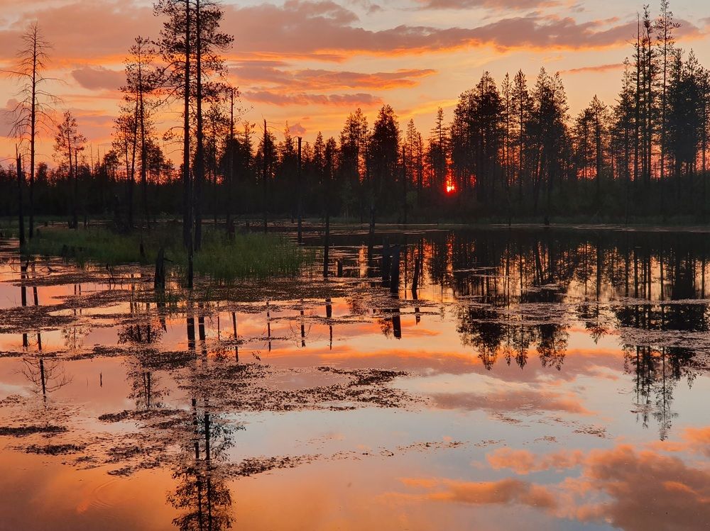 Photograph by Антон Жирнов