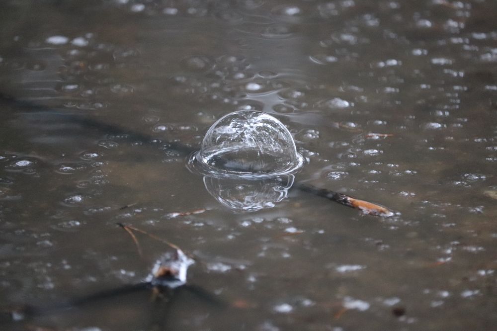 Photograph by Алексейчик Дмитрий