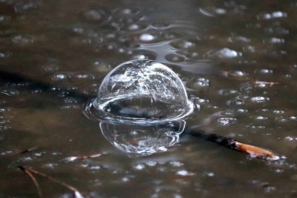 Photograph by Алексейчик Дмитрий