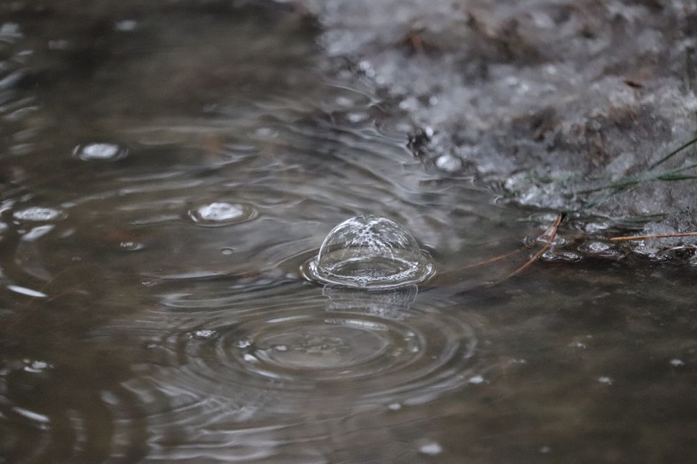 Photograph by Алексейчик Дмитрий