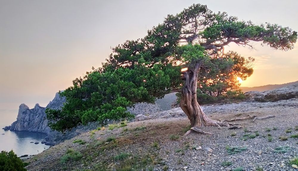 Фотография автора Кухта Мария