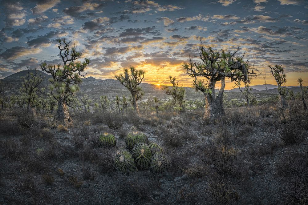 Photograph by Luis Roberto Lyons Suárez