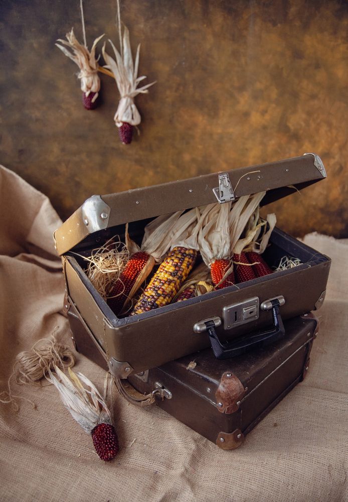 Photograph by Светлана Кавказская