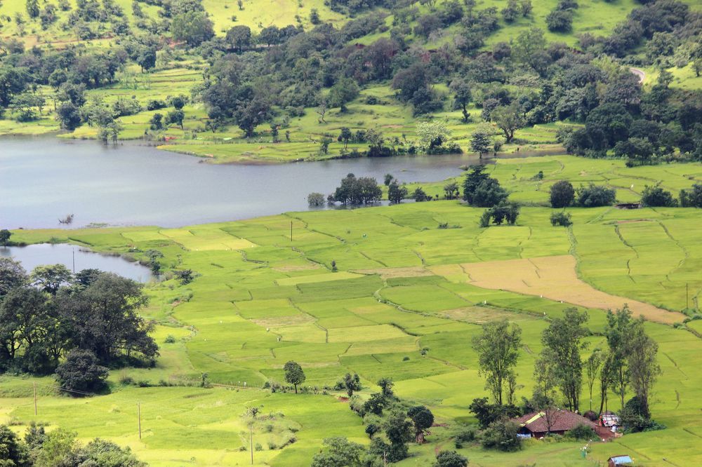 Фотография автора Vivek Tavate