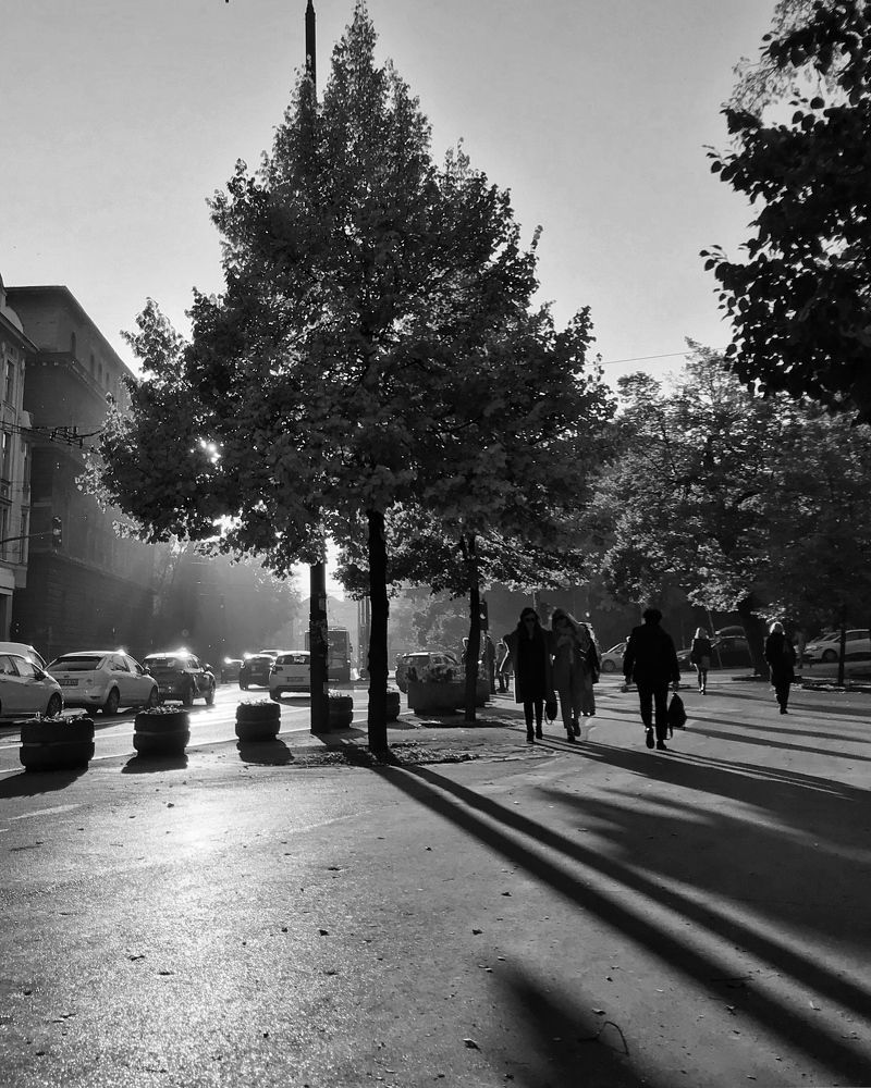 Photograph by Sanja Merdan