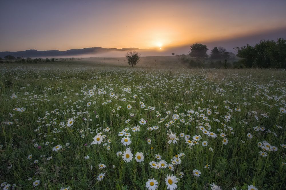Фотография автора Дмитренко Екатерина