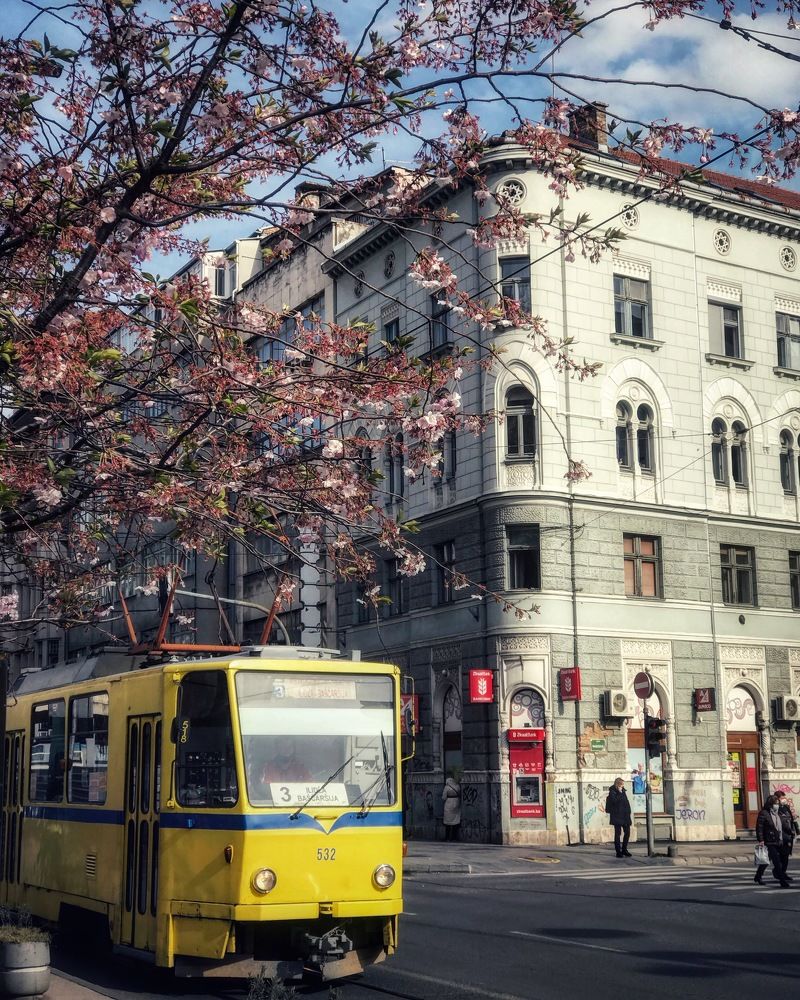 Photograph by Sanja Merdan