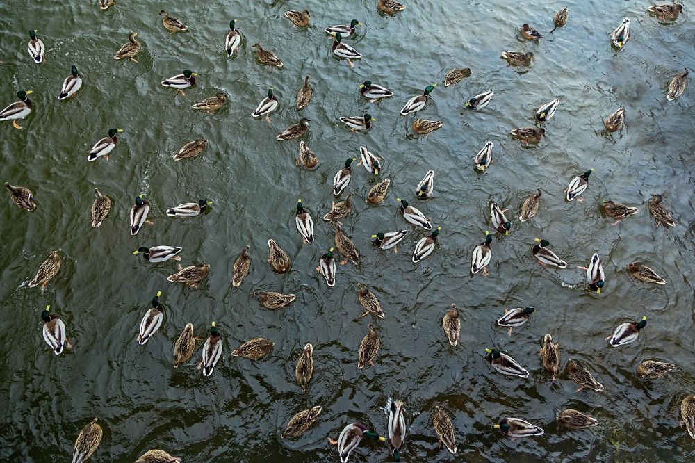 Photograph by Макаров Роман