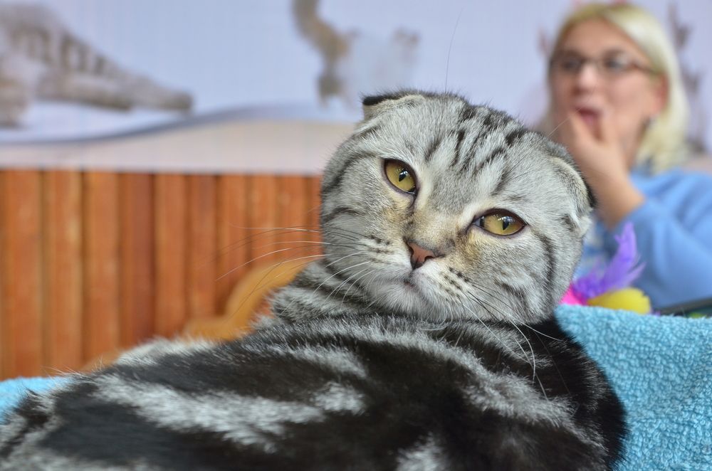 Фотография автора Владимир Брызгунов