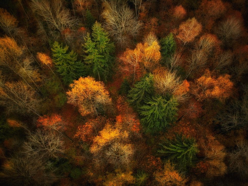 Photograph by Протасов Сергей