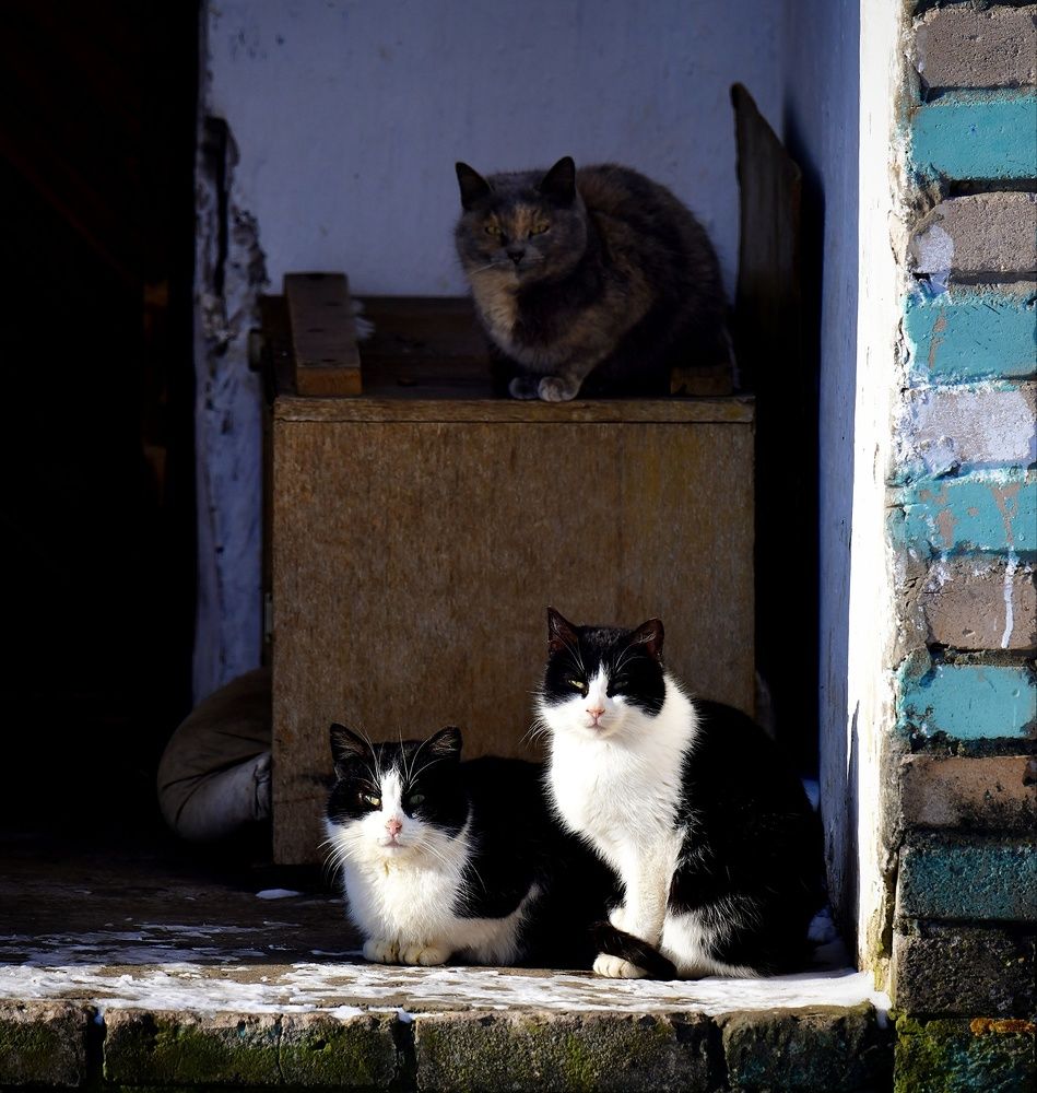 Photograph by Елена