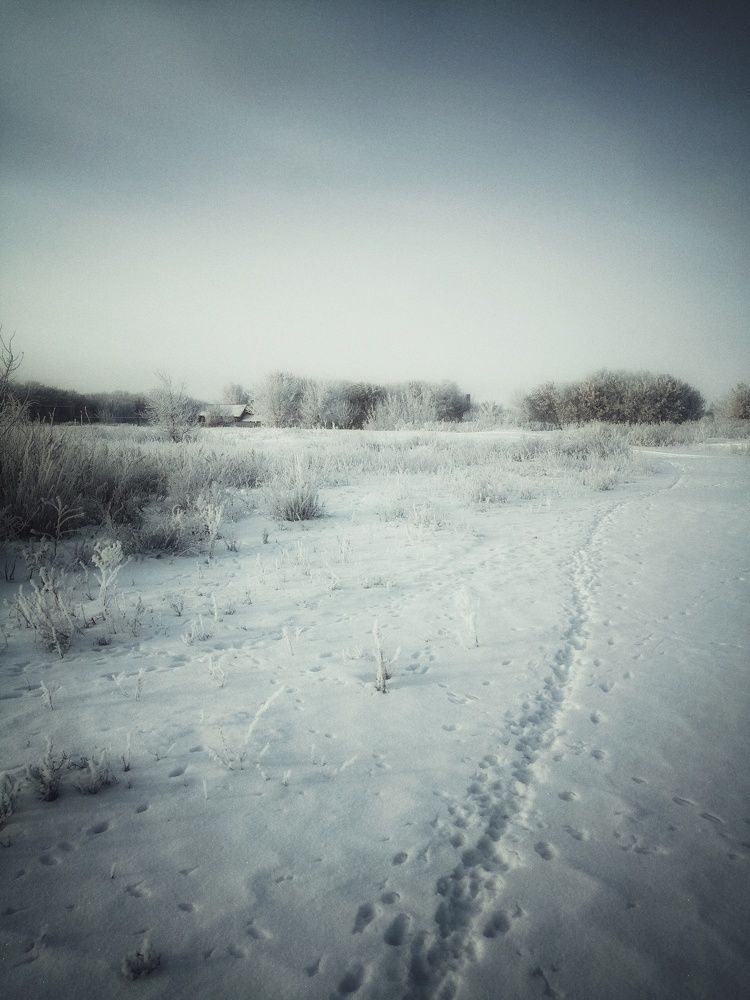 Photograph by Анастасия Чепурнова