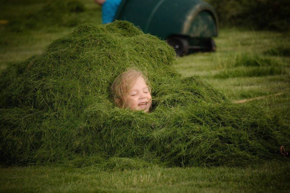 Photograph by Михаил Трусов