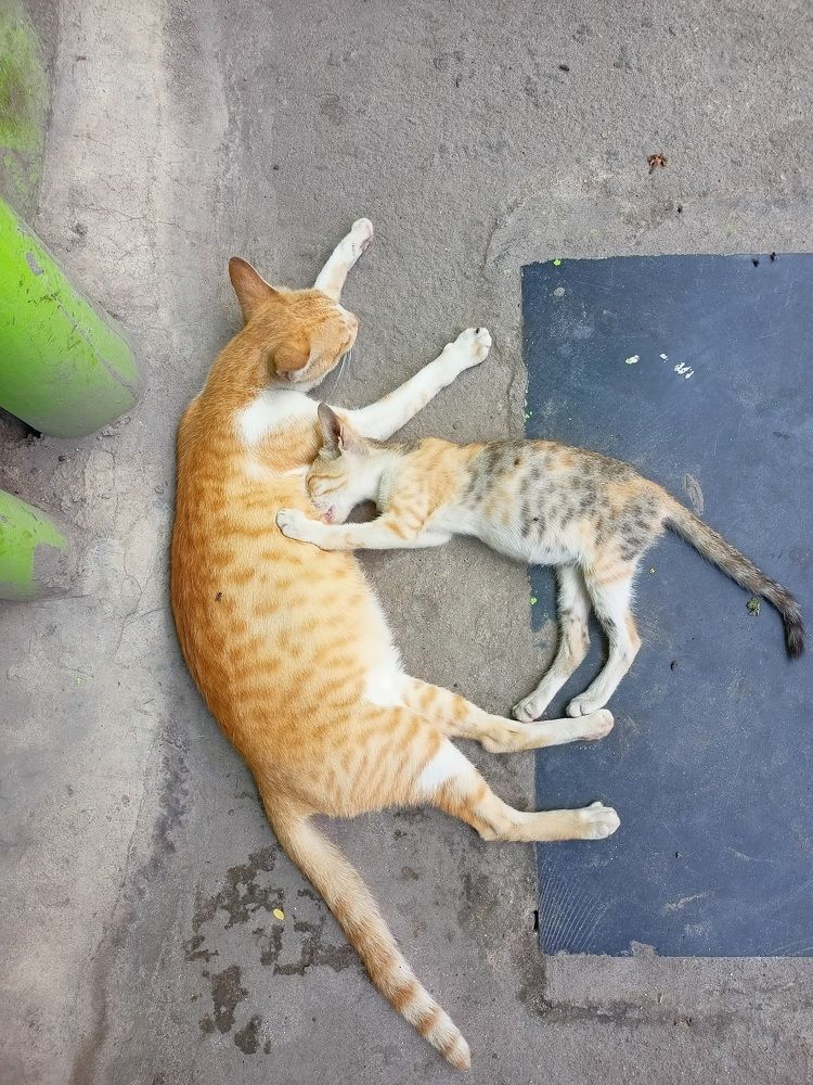 Photograph by John britto