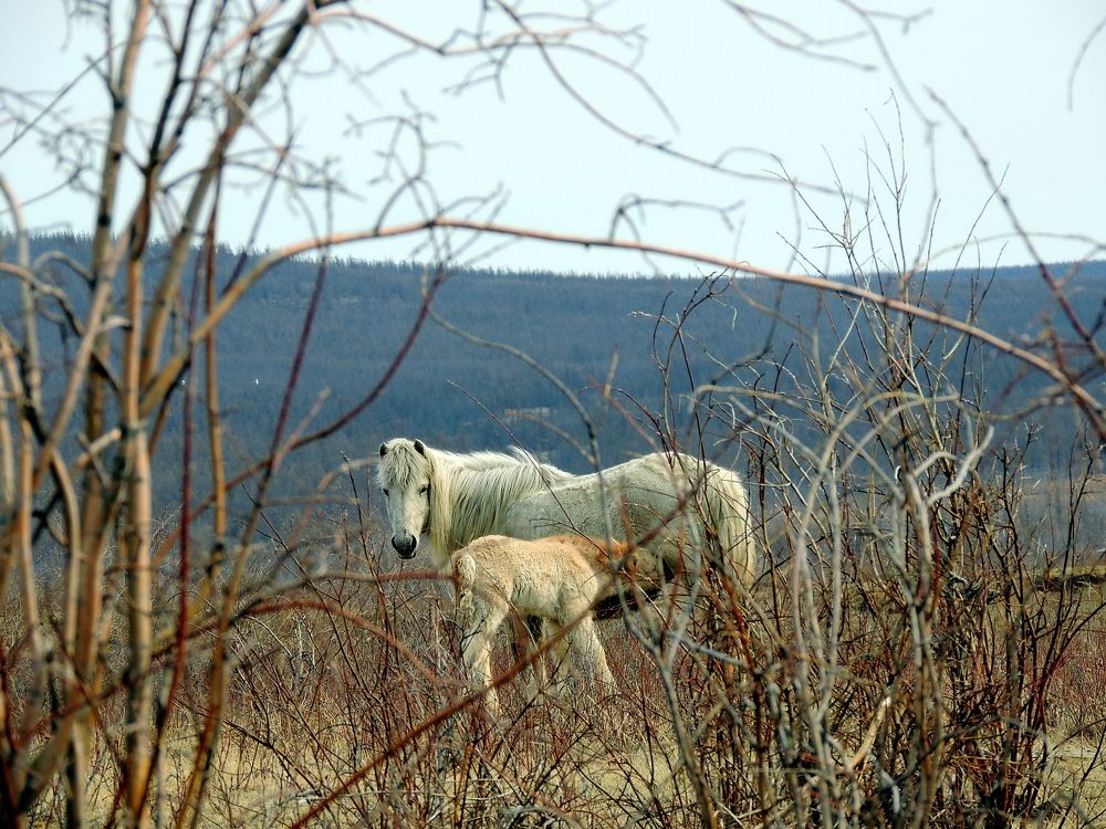 Photograph by Елена Васильева