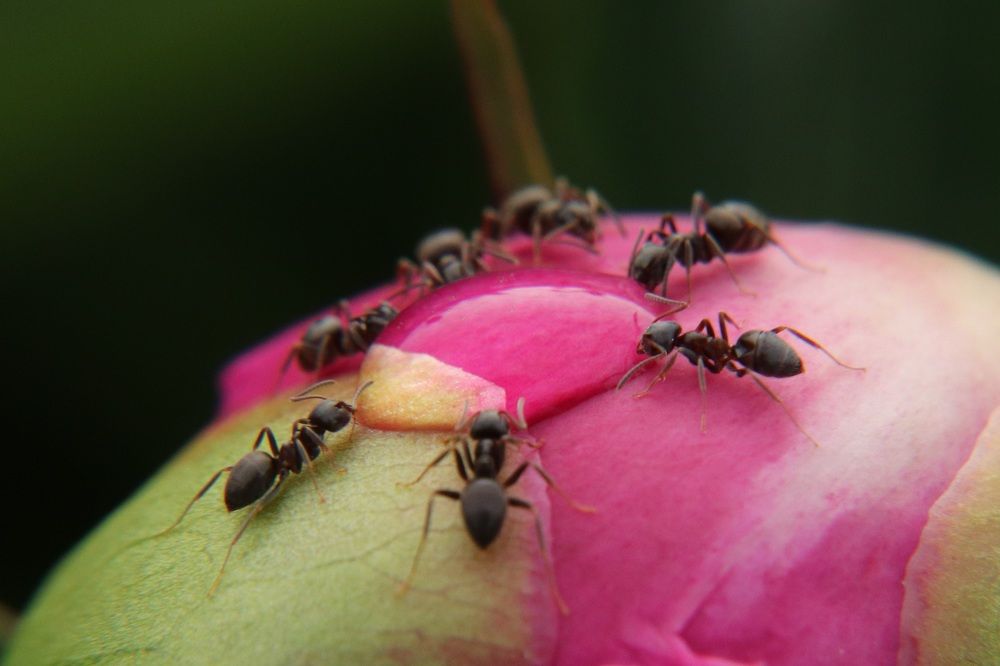 Photograph by Алексейчик Дмитрий