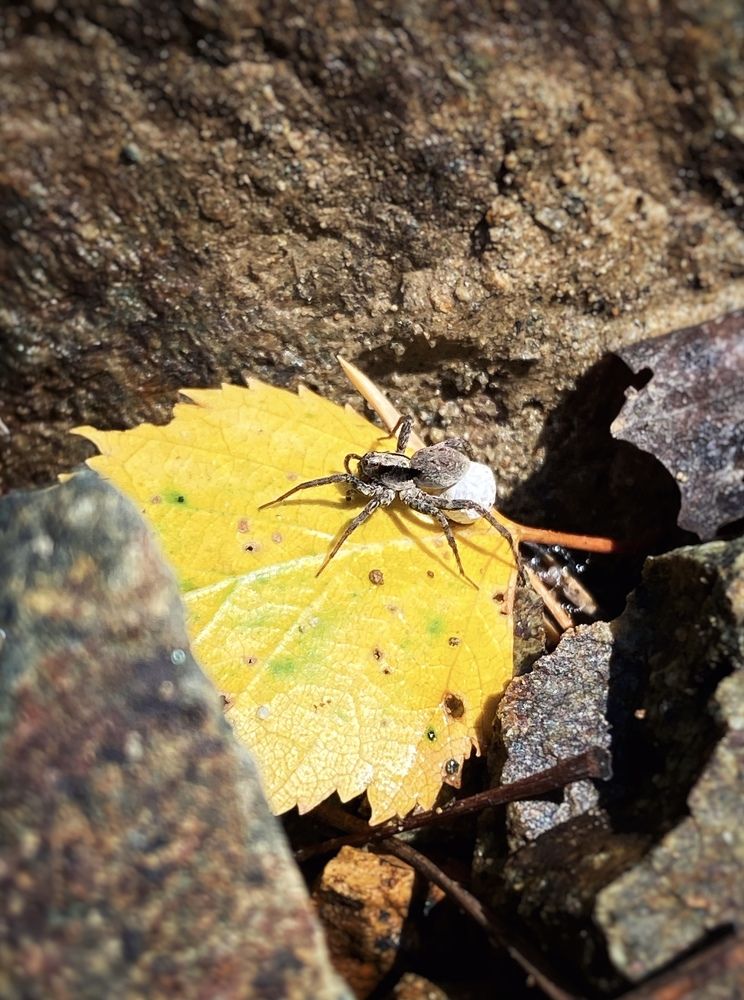 Photograph by Анастасия Астафьева