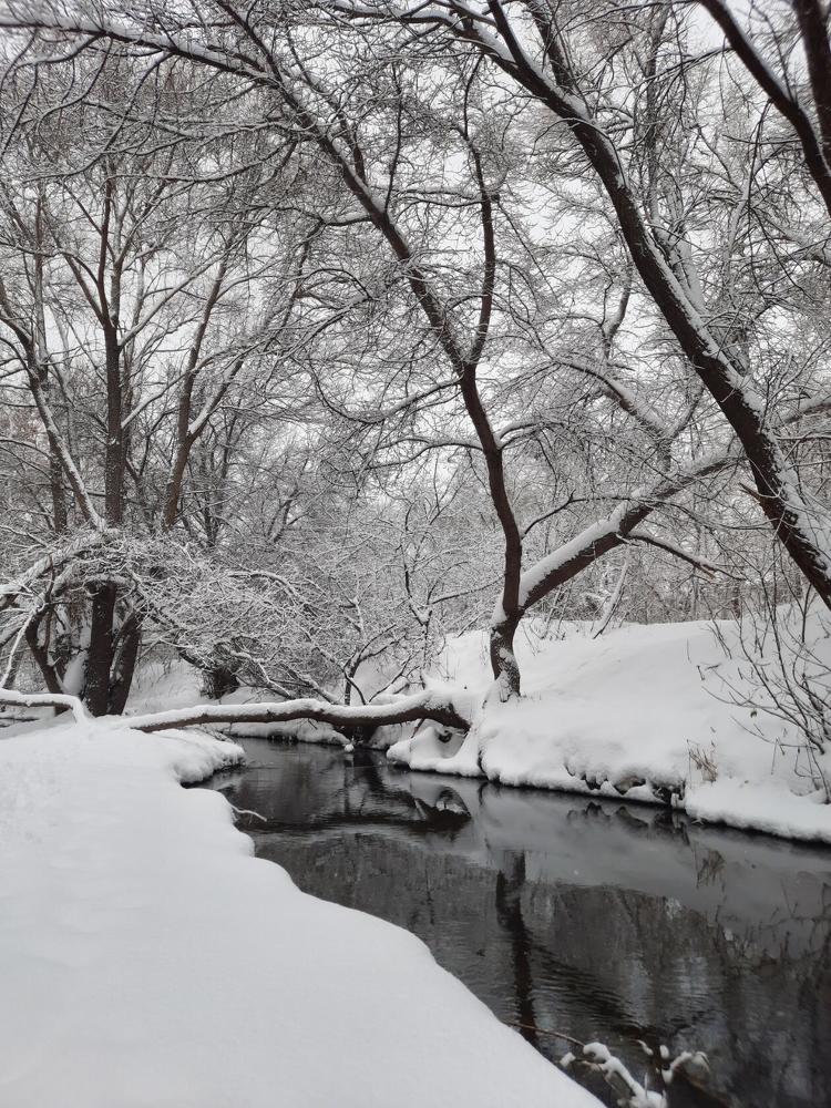 Photograph by Alex Mit
