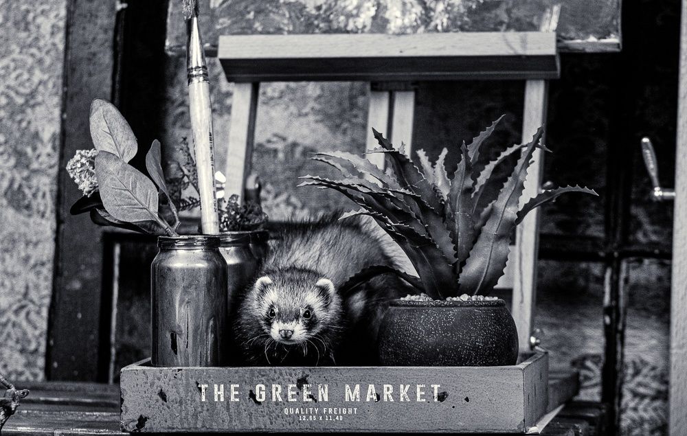 Photograph by Анна