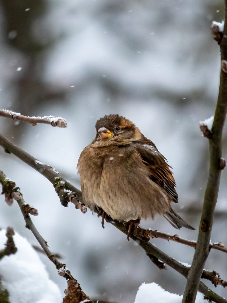 Photograph by Лора