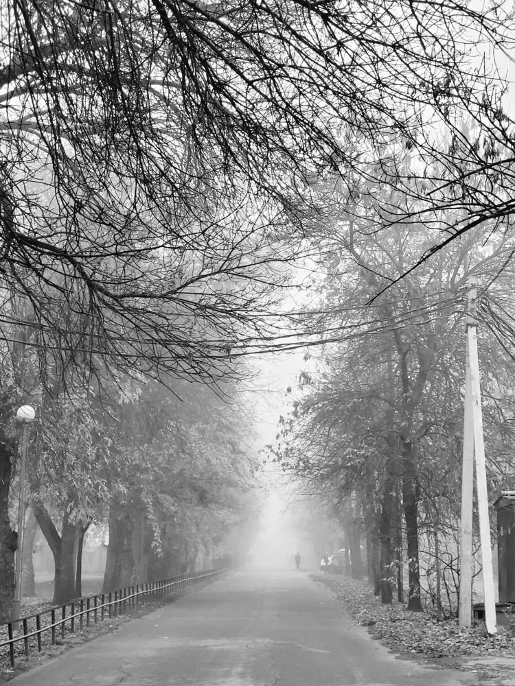 Photograph by Максим Сундеев