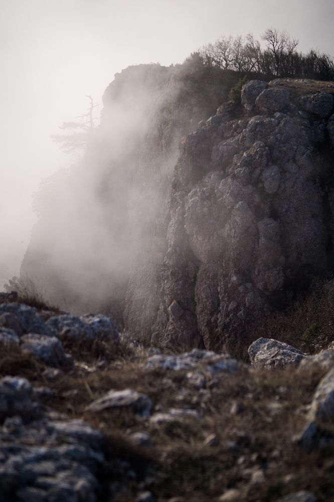 Photograph by Анна Изюмская