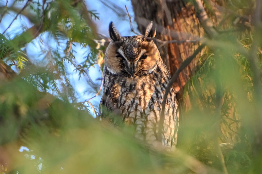 Photograph by Мария Новоселецкая