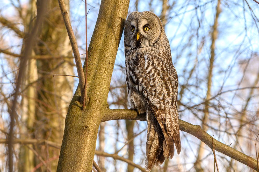 Photograph by Мария Новоселецкая