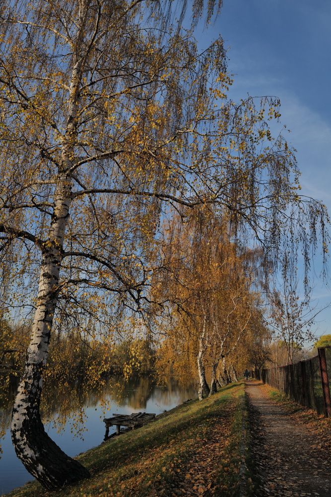 Photograph by Игорь Лобанов